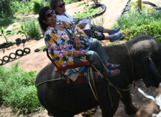 THAILAND: VISITING THE ELEPHANTS